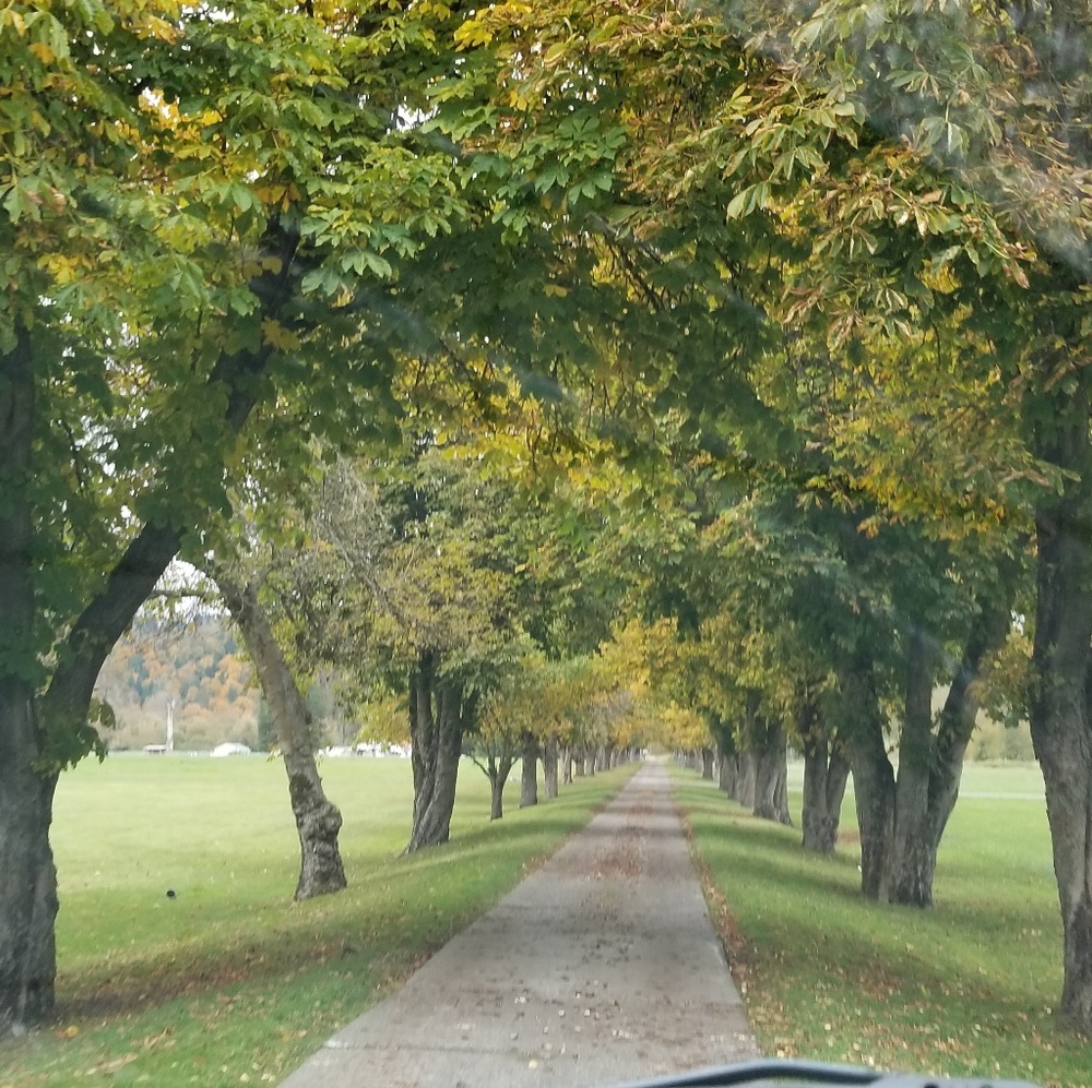 Meet your Posher, Barbara